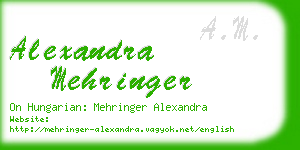 alexandra mehringer business card